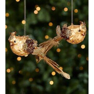2 Lg Southern Living Miracle & Wonder Collection Champagne Bird Glass Ornaments